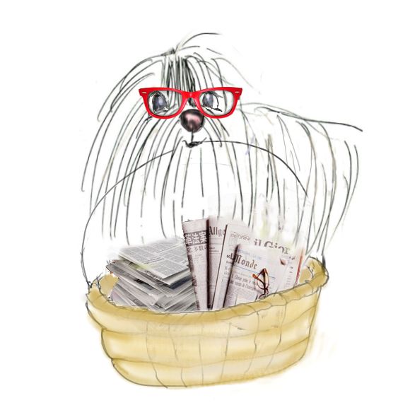 Lucky Lillo and Chao Hsiu Chen Books